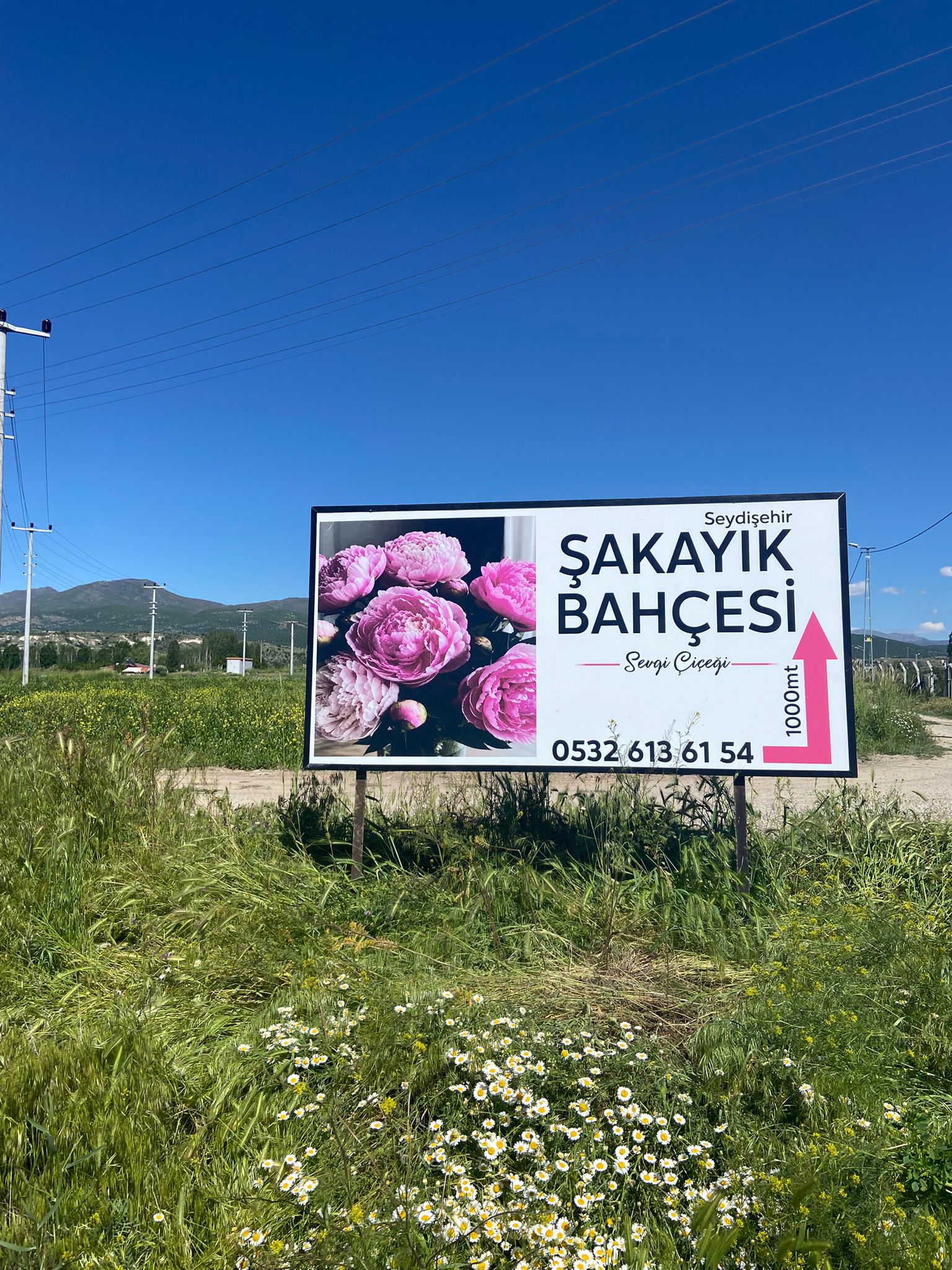 Şakayık Bahçesi